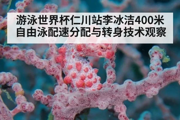 游泳世界杯仁川站李冰洁400米自由泳配速分配与转身技术观察